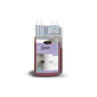 B-Quiet Cavallo Master B-Quiet Cavallo Master