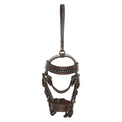 Briglia charms HV Polo Legacy Mandorla Marrone