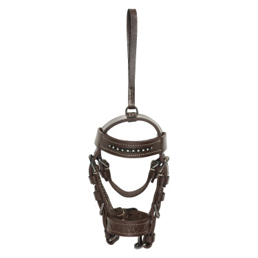 Briglia charms HV Polo Legacy Mandorla Marrone