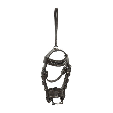 Briglia charms HV Polo Legacy Legno Beige