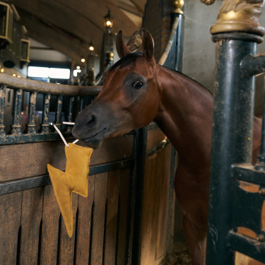 Giocattolo da box Imperial Riding fulmine Giallo Giocattolo da box Imperial Riding fulmine Giallo