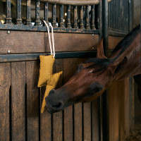 Giocattolo da box Imperial Riding fulmine Giallo Giocattolo da box Imperial Riding fulmine Giallo