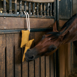 Giocattolo da box Imperial Riding fulmine Giallo Giocattolo da box Imperial Riding fulmine Giallo