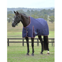 Coperta ComFiTec Essential Turnout Weatherbeeta 0 g Marino / bordeaux Blu