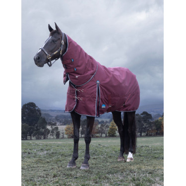 Coperta ComFiTec Essential Turnout Weatherbeeta 220 g con collo staccabile Bordeaux / blu navy