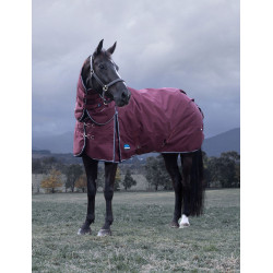 Coperta ComFiTec Essential Turnout Weatherbeeta 220 g con collo staccabile Bordeaux / blu navy