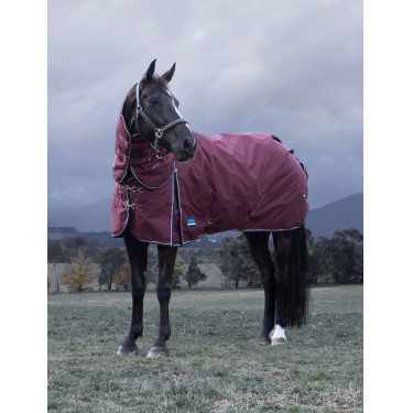 Coperta ComFiTec Essential Turnout Weatherbeeta 220 g con collo staccabile Bordeaux / blu navy