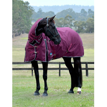 Coperta ComFiTec Essential Turnout Weatherbeeta 50 g combo Bordeaux / blu navy