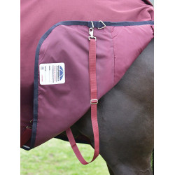 Coperta ComFiTec Essential Turnout Weatherbeeta 50 g con collo staccabile Bordeaux / blu navy