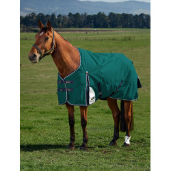 Coperta ComFiTec Plus Dynamic Turnout WeatherBeeta 0 g Verde foresta / blu navy