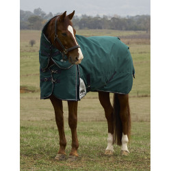 Coperta ComFiTec Plus Dynamic Turnout WeatherBeeta 100 g con collo staccabile Verde foresta / blu navy
