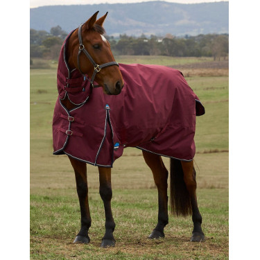 Coperta ComFiTec Prelim Turnout WeatherBeeta Combo 0 g Bordeaux / blu navy