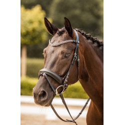 Fronte con strass Horze Columbia Nero / argento