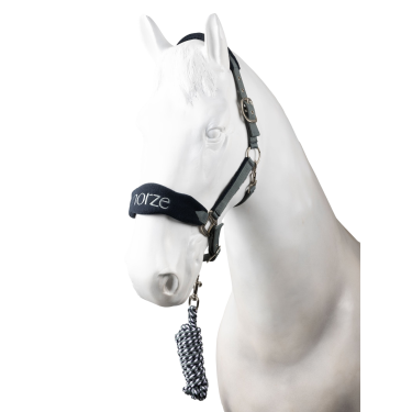 Capezza e lunghina Horze Magic Grigio tempesta