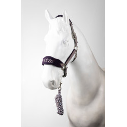 Capezza e lunghina Horze Magic Selce viola