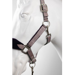 Capezza e lunghina Horze Magic Selce viola