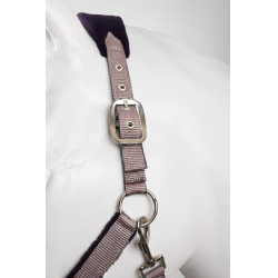 Capezza e lunghina Horze Magic Selce viola