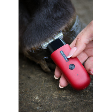 Tosatrice Liveryman Robin Trimmer Rosso