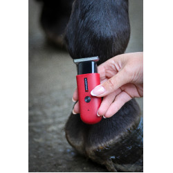 Tosatrice Liveryman Robin Trimmer Rosso