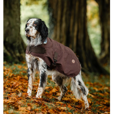 Coperta per cane Horseware Heritage Newmarket Marrone / blu navy witney