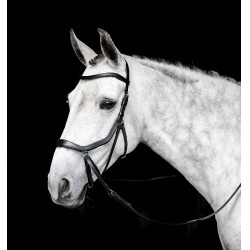 Briglia senza morso Horseware Micklem Nero