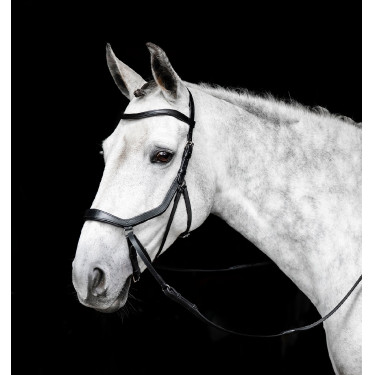 Briglia senza morso Horseware Micklem Nero