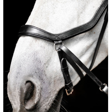 Briglia senza morso Horseware Micklem Nero