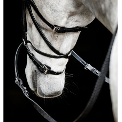 Briglia senza morso Horseware Micklem Nero