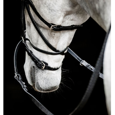 Briglia senza morso Horseware Micklem Nero