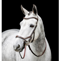Briglia senza morso Horseware Micklem Marrone