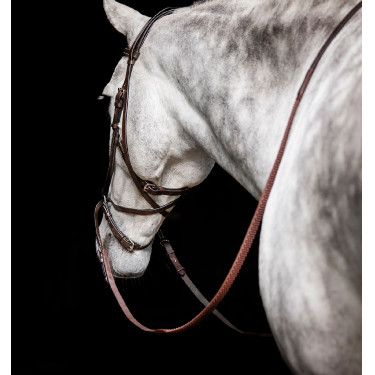 Briglia senza morso Horseware Micklem Marrone