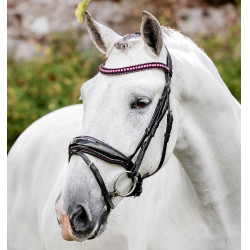 Briglia Horseware Diamante con chiudibocca flash Nero / rosa