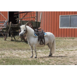 Sella Western Westride Topeka