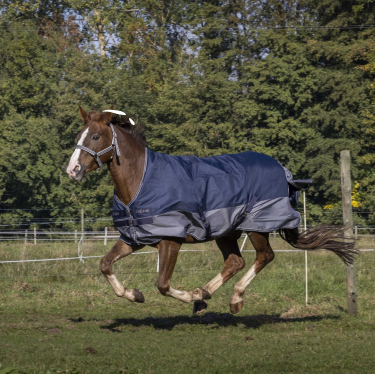 Coperta Equithème Tyrex 600 Foderata in pile