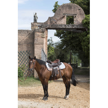 Cuscinetto per cavallo Westride feltro 16 mm Grigio