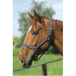 Capestro in nylon foderato in cuoio Norton Marina / cielo Blu