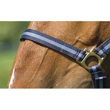 Capestro in nylon foderato in cuoio Norton Marina / cielo Blu