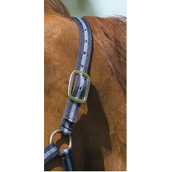 Capestro in nylon foderato in cuoio Norton Marina / cielo Blu