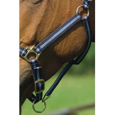 Capestro in nylon foderato in cuoio Norton Marina / cielo Blu