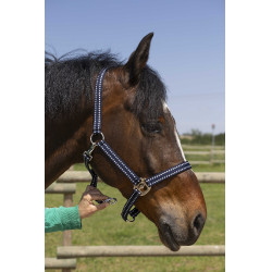 Capezzina Norton Grooming Blu navy