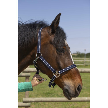 Capezzina Norton Grooming Blu navy