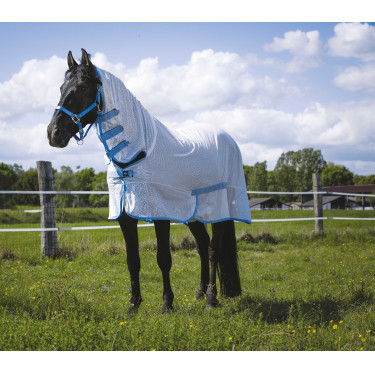 Camicia a rete Riding World Combo Bianco / azzurro cielo