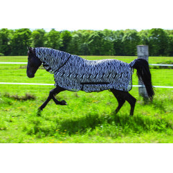 Camicia a rete Riding World Combo Motivo zebra nero / bianco Multicolore