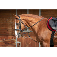 Gogue a carrucole Norton Pro Avana Marrone Gogue a carrucole Norton Pro Avana Marrone