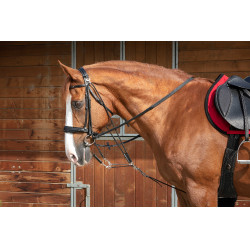 Gogue a carrucole Norton Pro Nero