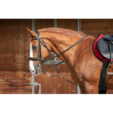 Gogue a carrucole Norton Pro Nero