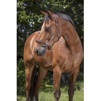 Capezza in cuoio Norton Pro Grooming Nero