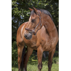 Capezza in cuoio Norton Pro Grooming Avana Marrone