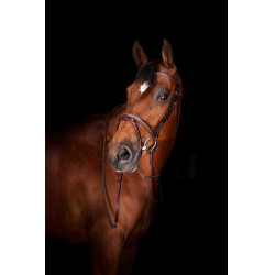 Redini Hunter Eric Thomas Elite 16 mm Avana Marrone Redini Hunter Eric Thomas Elite 16 mm Avana Marrone