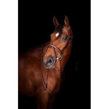 Redini Hunter Eric Thomas Elite 16 mm Avana Marrone Redini Hunter Eric Thomas Elite 16 mm Avana Marrone